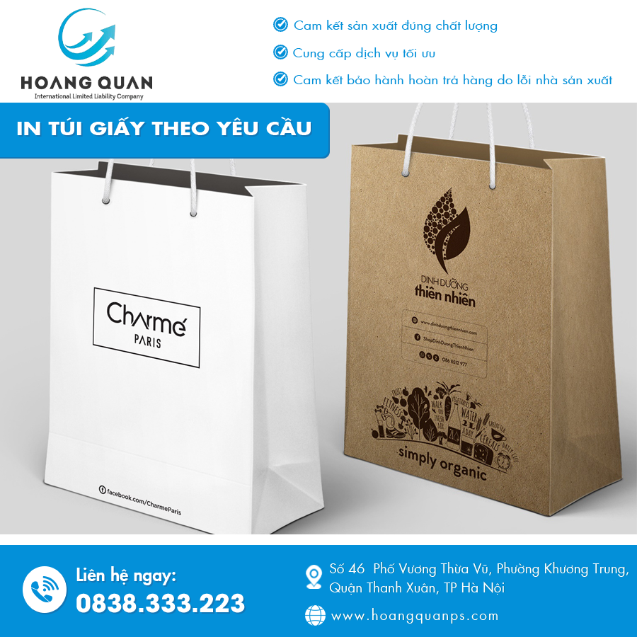 Hình ảnh túi giấy in logo, màu sắc theo nhận diện thương hiệu